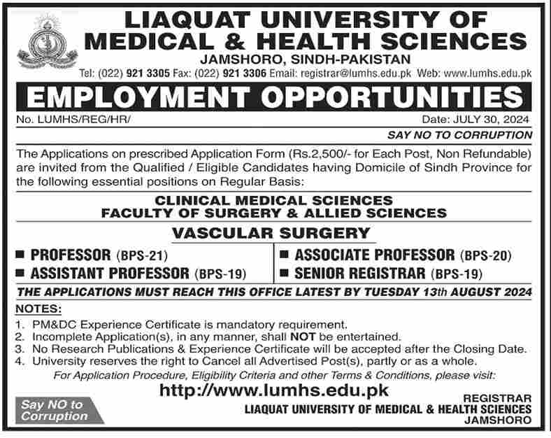 New Liaquat University of Medical & Health Sciences Jamshoro Jobs 2024