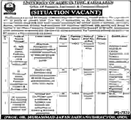 New University of Agriculture Faisalabad Jobs 2024-Apply Online